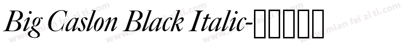 Big Caslon Black Italic字体转换
